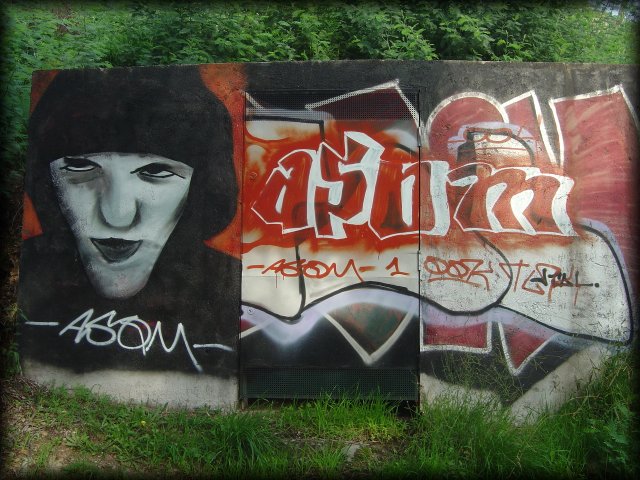 graffiti near Auribeau sur Siagne, FR