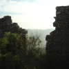 ruins of a stone wall and bushes