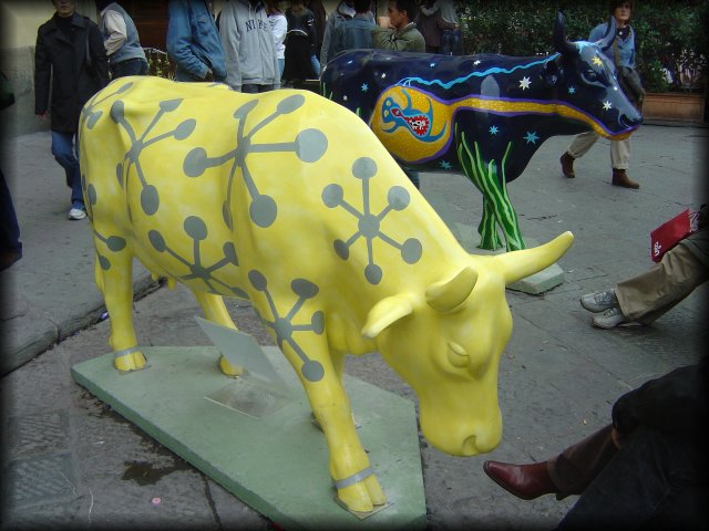 cows