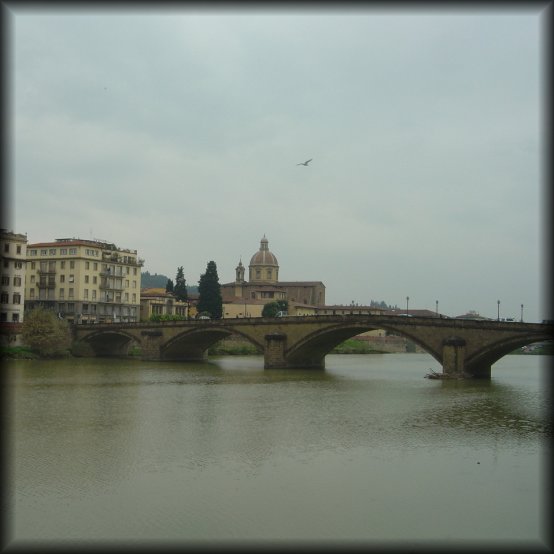 L'Arno, bridge, bird in flight, Firenze