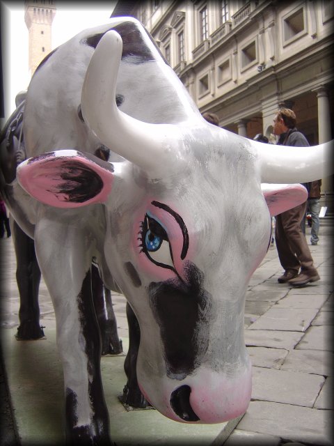 Blue-eyed cow