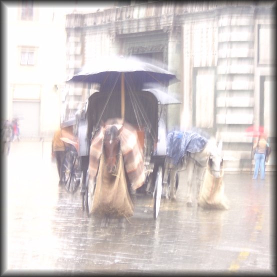 Horse carriage, overexposed and blurry, il Battistero, Firenze