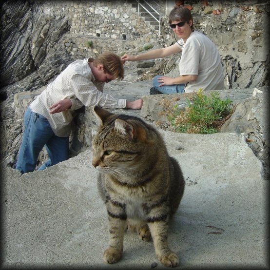 Mason, kitty cat, Robin, Monterosso al Mare, one of the cinque terre