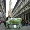 Cow painted with a touristy map, il Palazzo Vecchio, Firenze