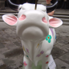 "Sacra Pazza Mucca" and ericP, Firenze