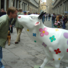 Mason nose to nose with "Sacra Pazza Mucca", Firenze