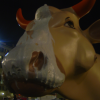 The milk cow, Firenze