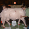 ericP and Mason honouring the milk cow "Galattofonte", Firenze