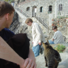 ericP, Mason, kitty cat, Robin, Monterosso al Mare, one of the cinque terre
