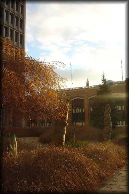 Here is another view of the garden on the terrace of the Marriott, on a sunny day
