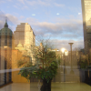 Reflection of buildings in a window and ficus tree on the other side, on a sunny day
