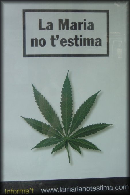 "La Maria no t'estima", propaganda at the bus stop.
