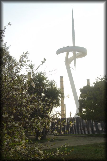 Torre de Calatrava from the botanic garden.
