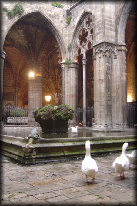 Geese in a cloister