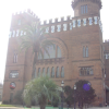 Museu de zoologia