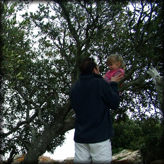 Jean-Luc tickling Selena who's perched in a tree