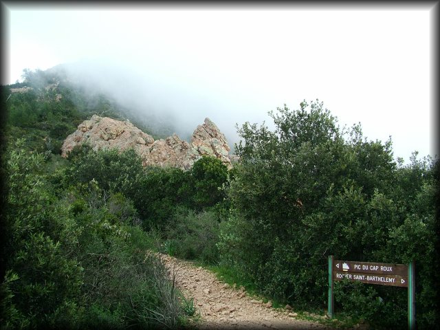 We came out of this path and were on the mountain that is hidden in the clouds: Pic du Cap Roux