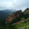 L'esterel is made of lots of those red rocks