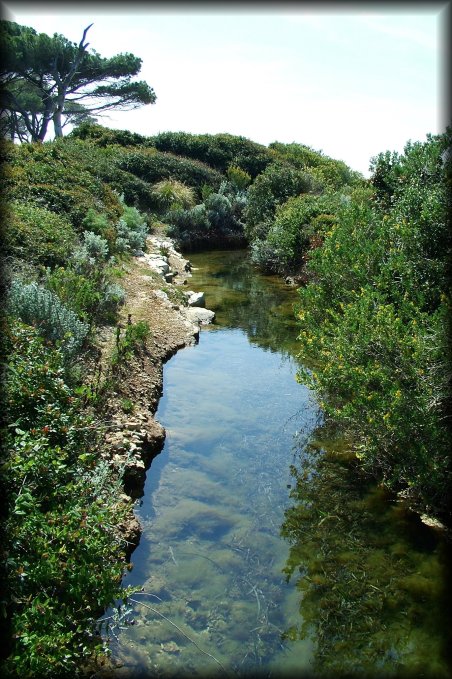 Still water, an extension of the lac du Bateguier