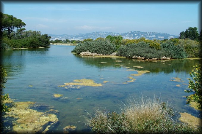 Lac du Bateguier, island in the middle and Cannes in the background