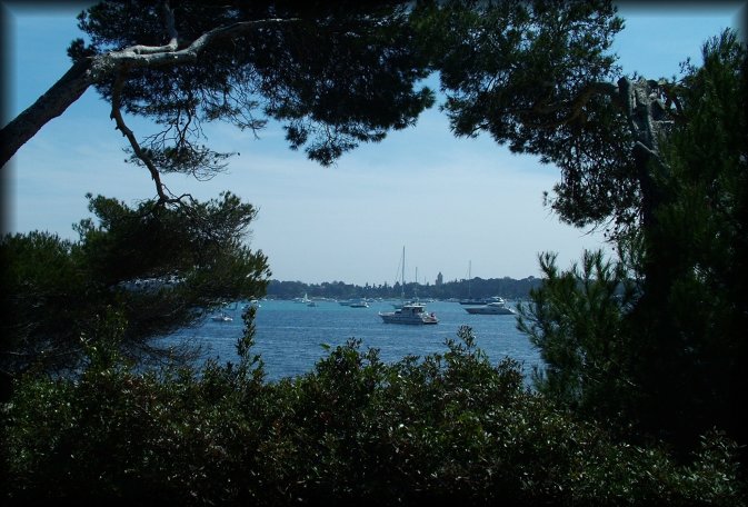 A window between trees, looking at boats anchored between Sainte-Marguerite and Saint-Honorat