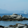 More rocks, a sailboat and Mandelieu in the background