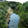 Still water, an extension of the lac du Bateguier