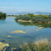 Lac du Bateguier, island in the middle and Cannes in the background
