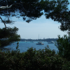 A window between trees, looking at boats anchored between Sainte-Marguerite and Saint-Honorat