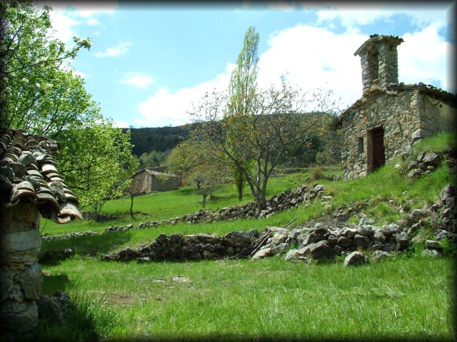 It was a wonderful setting. We had lunch in the shade of the tall tree in the middle