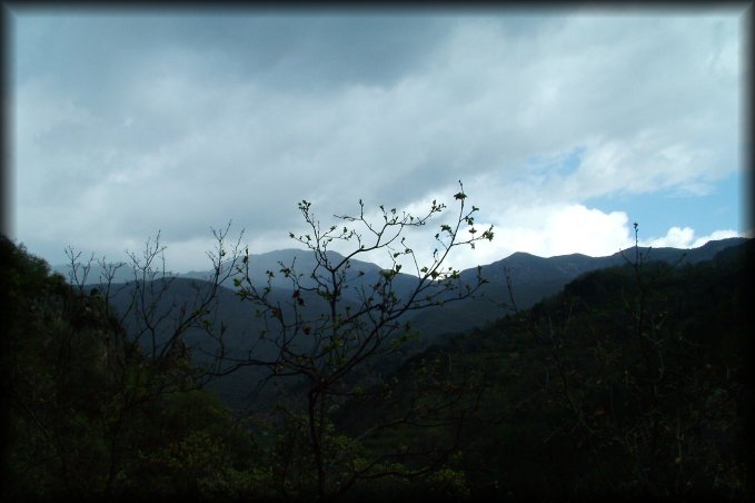 The weather is suddenly pretty grey and it's down to leave as it rains slightly