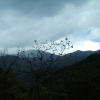 The weather is suddenly pretty grey and it's down to leave as it rains slightly