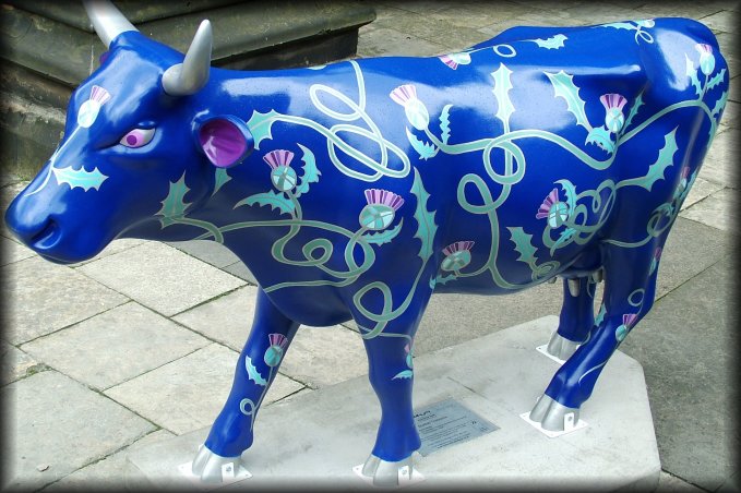 The cow parade was in Edinburgh. This one features a very scottlish thistle decoration.