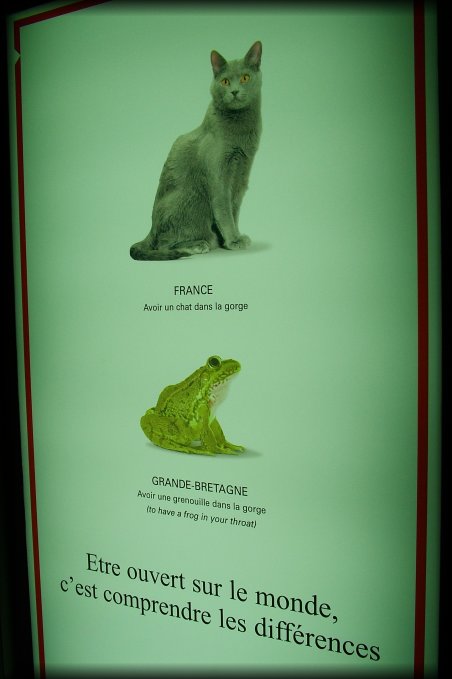 Advertisement for HSBC in NCE airport: .fr: avoir un chat dans la gorge, .en: to have a frog in your throat