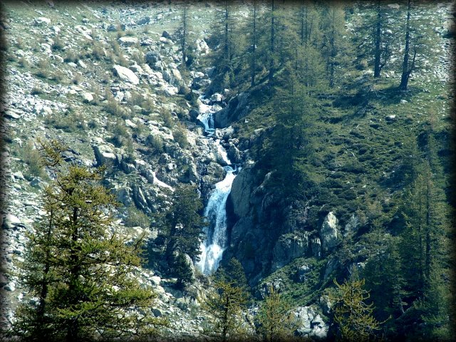 Water cascading to become the stream by which the cows graze below.