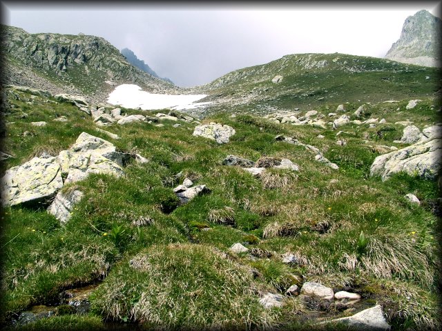 There is a stream running below the mossy grass.
