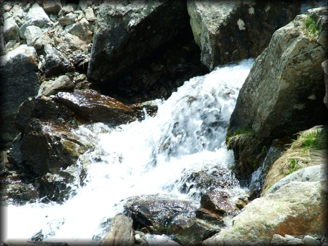 Torrent