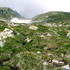 There is a stream running below the mossy grass.