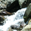Torrent