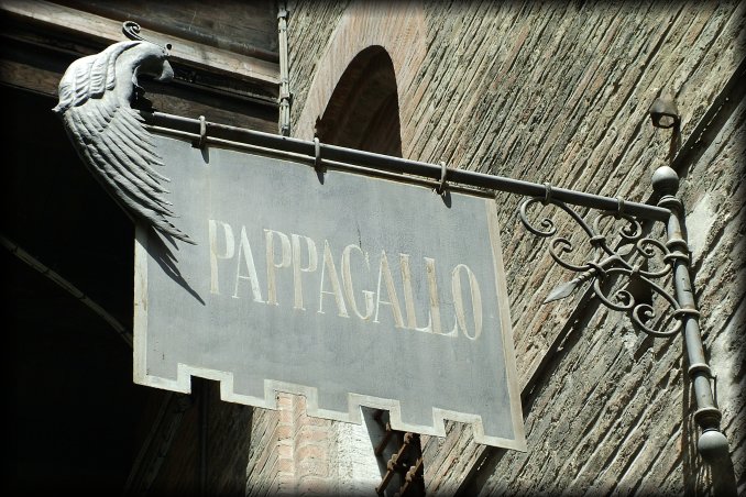 "Pappagallo"
