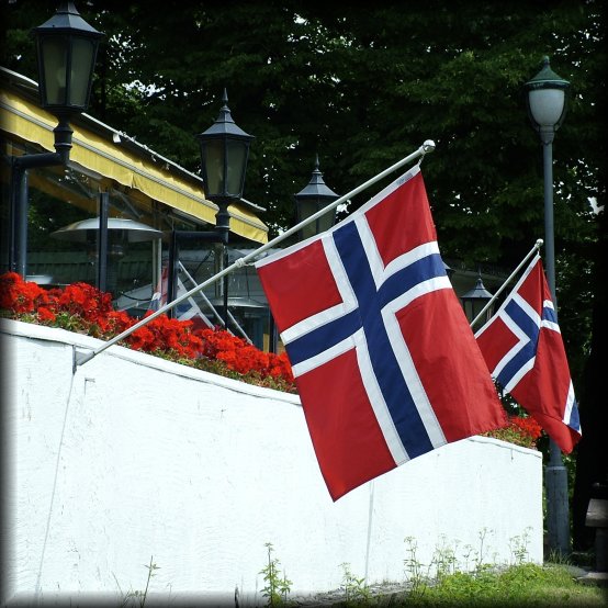 I had to take a photo of the norwegian flags in the park, as a token of good faith that I'm in Oslo.