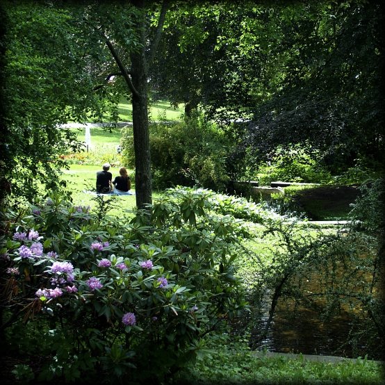 a couple sitting on the grass in the park, near a stream.