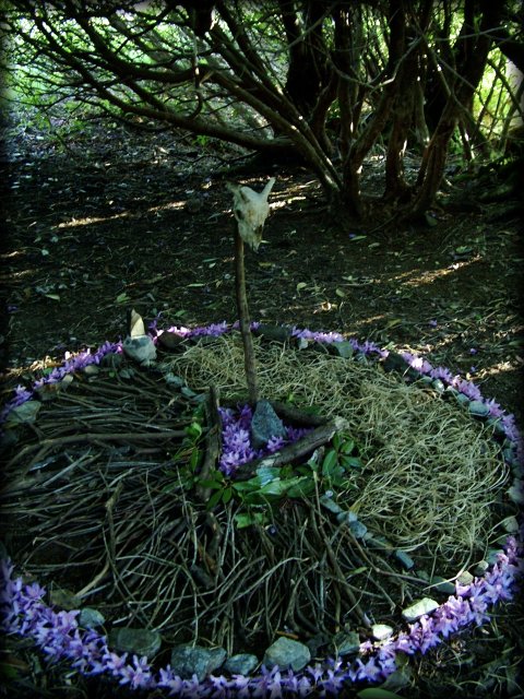 We found a sheep skull during our walk and started to build a shrine. Since this is already pretty crazy, the shrine was for the goddess of the Underworld. Our shrine is shaping up nicely.