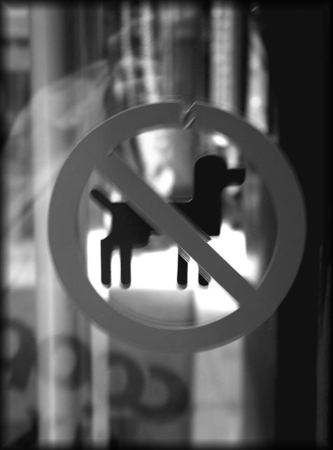 saahree, no poodle admitted in here.
