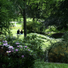 a couple sitting on the grass in the park, near a stream.