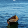 From searching the web about viking ships, I guess this boat is clinker-built (fixing wooden planks and in the early nineteenth century, iron plates to each other so that the planks overlap along their edges).  Anyway, pretty, isn't it?