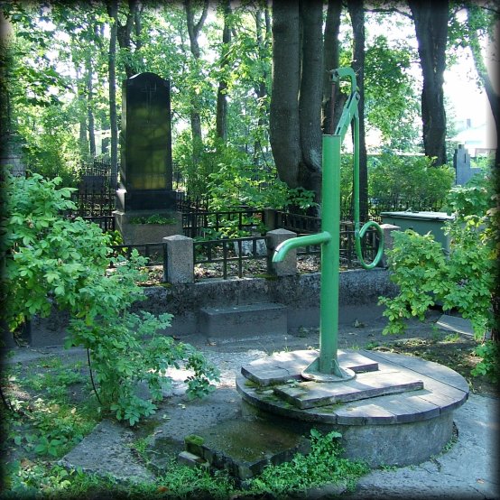Very green environment in the cemetery