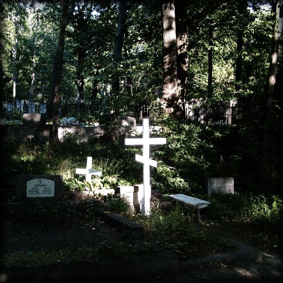 This cross seemed to be glowing white in the surrounding green.