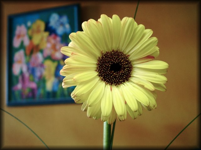 Sitting in a cafe', enjoying a coffee. A painting on the wall with colourful flowers, and a real flower facing me, almost claiming it's the only real thing to focus on.