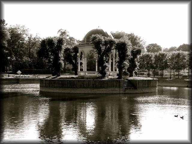The Kadriorg Park symmetrical Swan Lake